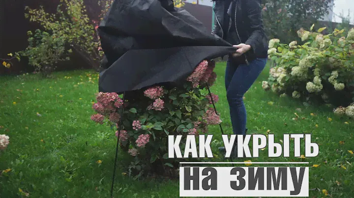 Как укрыть растение на зиму  ✔️ Каркас для укрытие растений