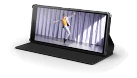 Чехол Xperia X10 SCSI10AM/B
